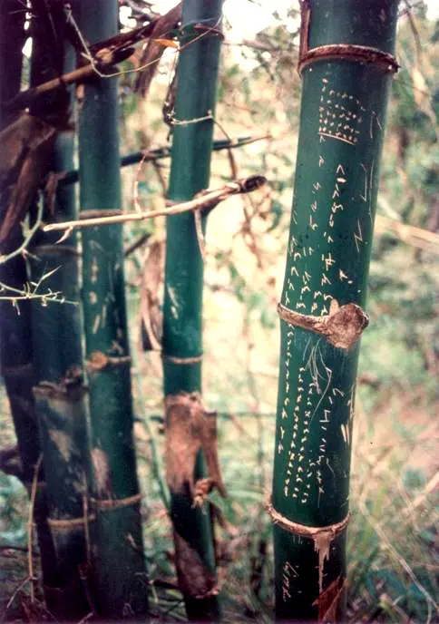 Ambahan written  on bamboos