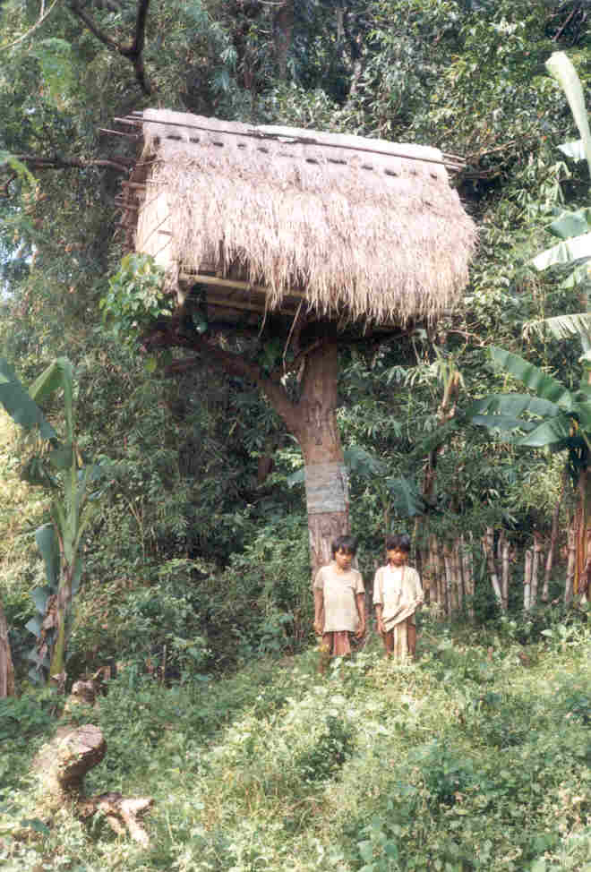 Buhid House Top of the Top (Mangyan Mission)